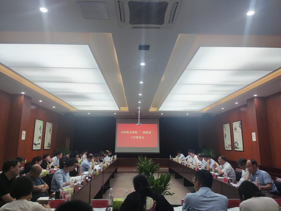 2024年7月17日，市國資委系統(tǒng)在公司開展“三組聯(lián)建”現(xiàn)場觀摩（推進(jìn)會(huì)）_副本